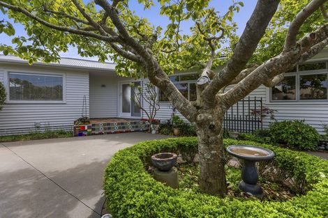 Photo of property in 8 Blenheim Place, Vogeltown, New Plymouth, 4310