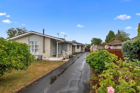 Photo of property in 3b Leong Avenue, Dinsdale, Hamilton, 3204