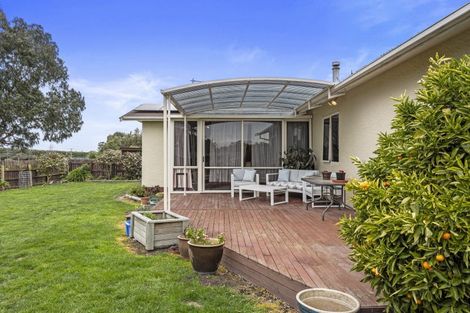 Photo of property in 176 Amberley Beach Road, Amberley, 7481