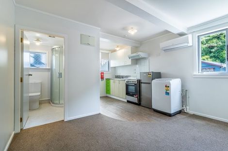 Photo of property in 26 Adams Terrace, Aro Valley, Wellington, 6021