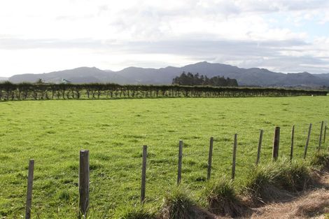Photo of property in 144 Ford Road, Waihi, 3682