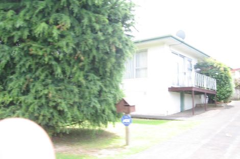 Photo of property in 125b Hillside Road, Papatoetoe, Auckland, 2025