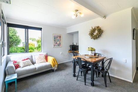 Photo of property in 58 Skerman Street, Marton, 4710