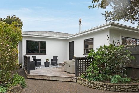 Photo of property in 207 Leo Street, Akina, Hastings, 4122