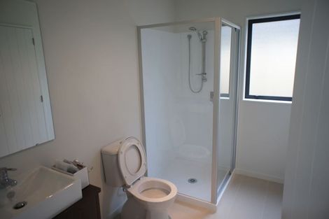 Photo of property in 3 Joseph Street, Flat Bush, Auckland, 2019