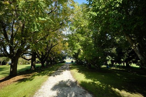 Photo of property in 373 Kincaid Road, Kaikoura Flat, Kaikoura, 7371