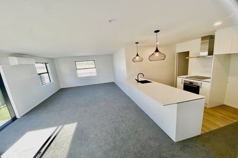 Photo of property in 33 Waiotahi Road, Kaiapoi, 7630
