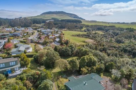 Photo of property in 12 Paehua Street, Omori, Turangi, 3381