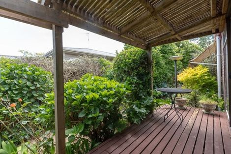 Photo of property in 62a Galloway Street, Hamilton East, Hamilton, 3216