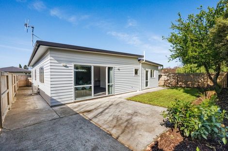 Photo of property in 3a Chamberlain Street, Feilding, 4702