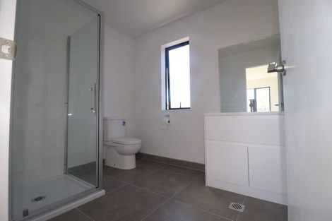 Photo of property in 4 Autumn Blaze Street, Hobsonville, Auckland, 0616