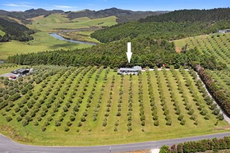 Photo of property in 72 Leccino Valley Road, Mangonui, 0494
