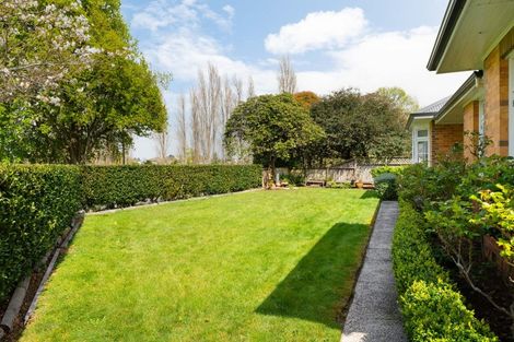 Photo of property in 41 Ingleton Terrace, Fairfield, Hamilton, 3214
