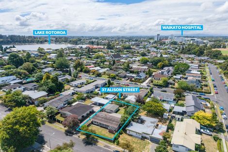 Photo of property in 37 Alison Street, Hamilton Lake, Hamilton, 3204