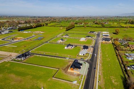 Photo of property in 3 Buxton Crescent, Matamata, 3400