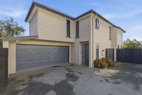 Photo of property in 500c Barbadoes Street, Edgeware, Christchurch, 8013
