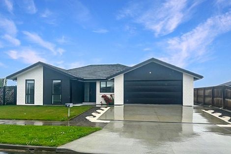 Photo of property in 62 Accolade Street, Feilding, 4702