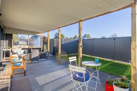 Photo of property in 20 Shanly Street, Waipawa, 4210