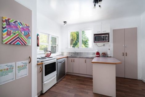 Photo of property in 57 Hinemoa Avenue, Taupo, 3330