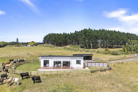 Photo of property in 1121 Parewanui Road, Parewanui, Bulls, 4894