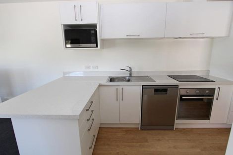 Photo of property in 377 Leith Street, North Dunedin, Dunedin, 9016