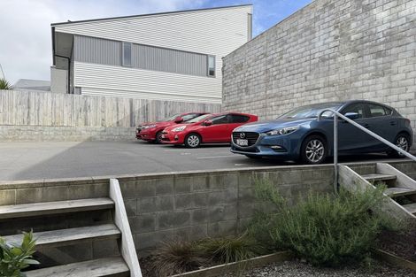 Photo of property in 24u9 Princess Terrace, Newtown, Wellington, 6021