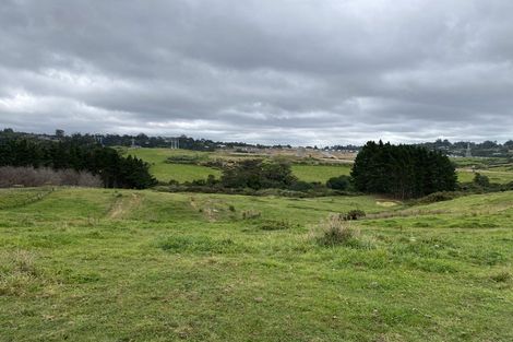 Photo of property in 85 Longhorn Drive, Flat Bush, Auckland, 2019