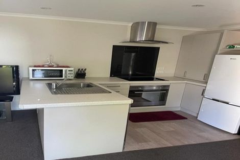 Photo of property in 48u4 Fifth Avenue, Enderley, Hamilton, 3214
