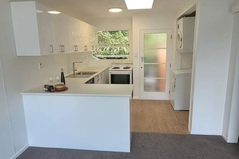 Photo of property in 22f2 Mccoll Street, Vogeltown, Wellington, 6021