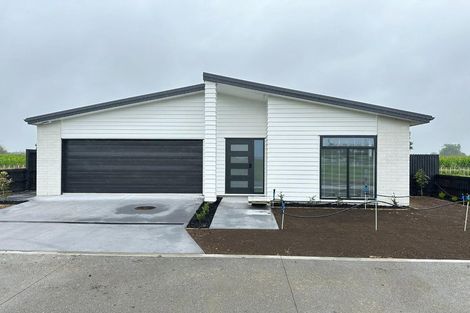Photo of property in 51 Rangitihi Street, Matamata, 3400