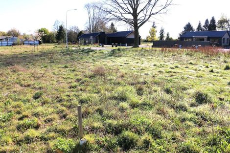 Photo of property in 24 Strawberry Place, Geraldine, 7930