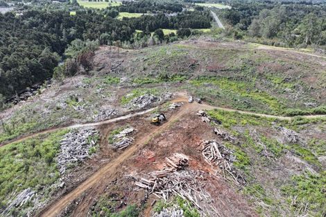 Photo of property in 126 Kerikeri Road, Kerikeri, 0230