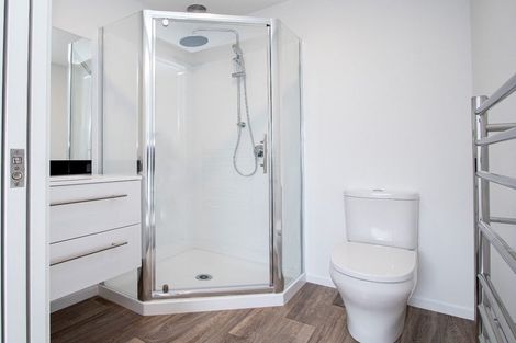 Photo of property in 102 Swayne Road, Cambridge, 3434