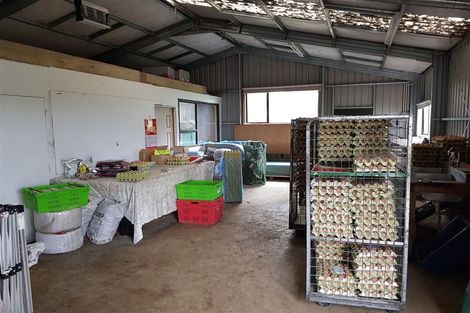 Photo of property in 389 Waiuku Road, Puni, Pukekohe, 2678