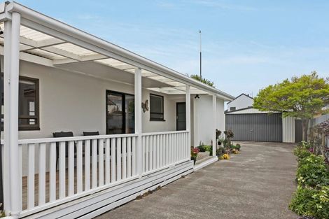 Photo of property in 207 Leo Street, Akina, Hastings, 4122
