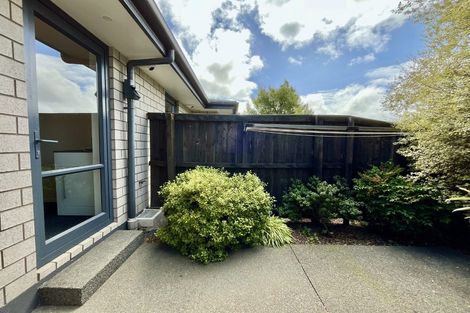 Photo of property in 53b Grafton Street, Waltham, Christchurch, 8011