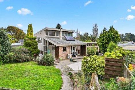 Photo of property in 25 Queenwood Avenue, Queenwood, Hamilton, 3210