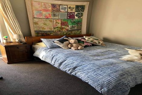 Photo of property in 477a Manchester Street, St Albans, Christchurch, 8014