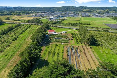 Photo of property in 529 State Highway 16, Kumeu, 0810