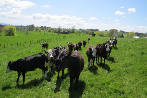 Photo of property in 103 Jury Road, Ngahinapouri, Hamilton, 3290