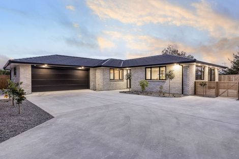 Photo of property in 6a Saint Annes Street, Levin, 5510