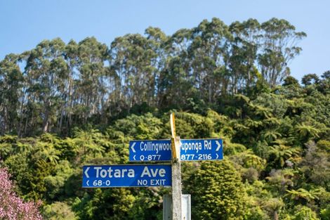 Photo of property in 50 Totara Avenue, Collingwood, 7073