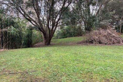 Photo of property in 11 Ron Wyatt Lane, Waiuku, 2123