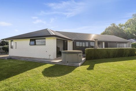 Photo of property in 503b Te Puke Highway, Te Puke, 3187