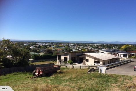 Photo of property in 6 Debonair Court, Feilding, 4702