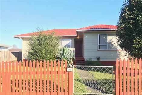 Photo of property in 75 John Walker Drive, Manurewa, Auckland, 2102