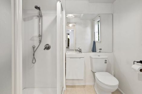 Photo of property in 64 Norway Street, Aro Valley, Wellington, 6012