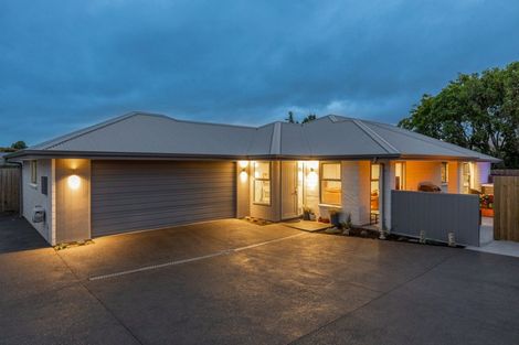 Photo of property in 23b Brewer Street, Blenheim, 7201