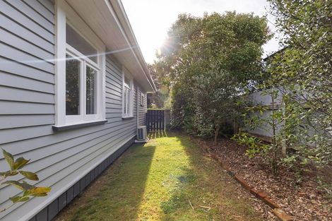 Photo of property in 46 Matamau Street, Palmerston North, 4414