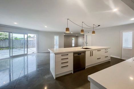 Photo of property in 68b Manson Street, Terrace End, Palmerston North, 4410